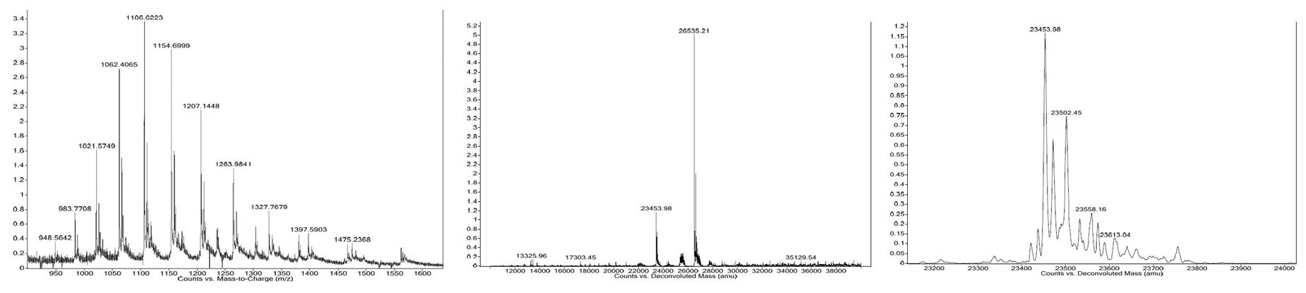 service-ms-biopolymer-mw-determination