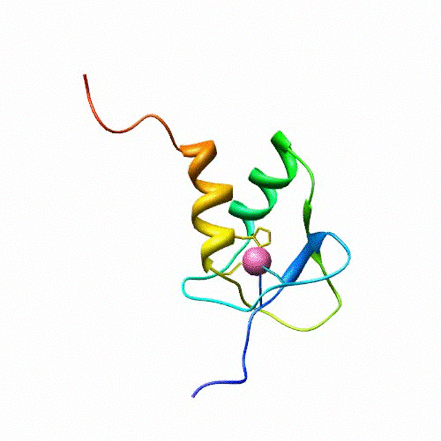 SAP30 NMR Structure